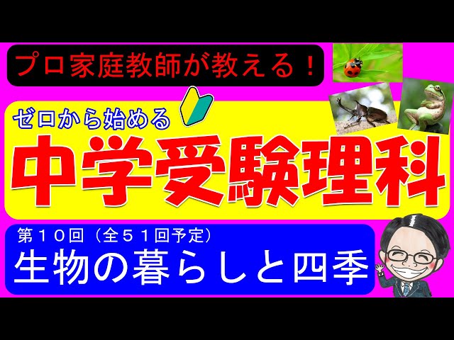 中学受験理科】生物の暮らしと四季の意外な関係！語呂合わせもあるよ