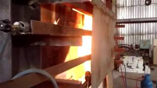 Fire resistant test