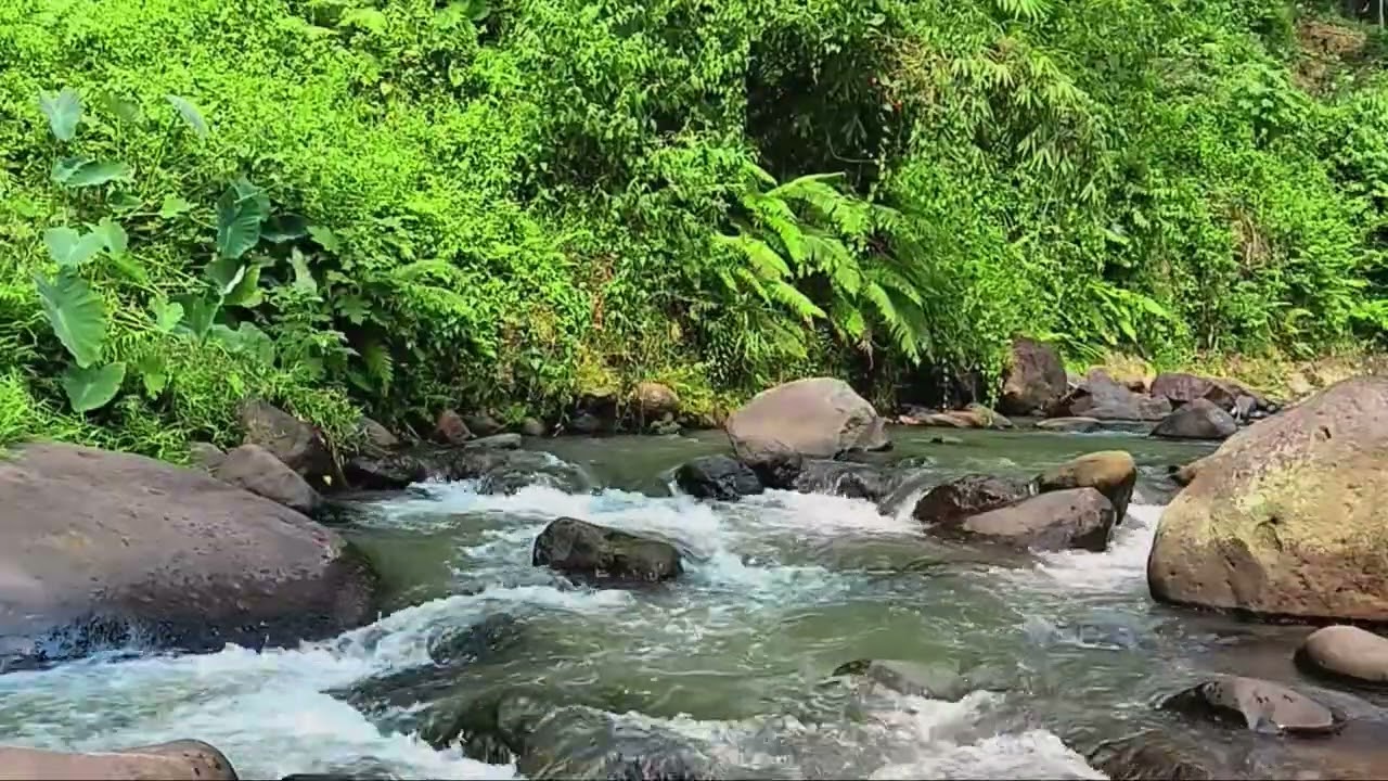 Crystal Clear River Rushing Over Jungle Rocks with Intense Nature Sounds for Deep Emotional Balance
