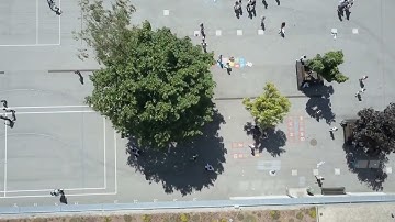 Bridging The Divide  A New Renaissance in Early Childhood Data Use  Full Documentary