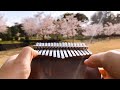 【Kalimba Music】Sakura / 森山直太朗のさくらをカリンバ で演奏してみた