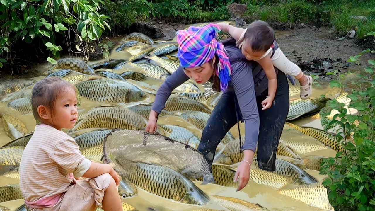 Unbelievable Catch After the Rain! 🌧 Giant Pond Fish & A Sweet Gift for ...
