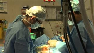 Structured training popular with surgical trainees