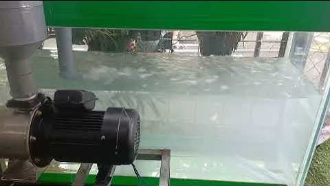 bơm nano cho xử lý nước