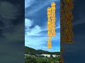 ※見れた人は超幸運‼️偶然空に映った神様の姿✨ #shorts