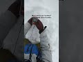 Rescate en avalancha: DVA, sonda y pala 🏔️