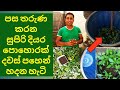 Home gardening in Sri Lanka Preparation of Best Organic liquid fertilizer at Home