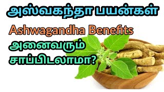 அமுக்கிரா பயன்கள் I அஸ்வகந்தா பயன்கள் மற்றும் மருத்துவ குணங்கள் I Ashwagandha Benefits in Tamil