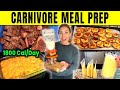 Carnivore diet meal prep for weight loss. It's working!