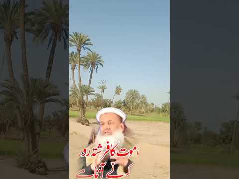 ผลสลากกินแบ่งรัฐบาล วันที่ 1 พย. 2567