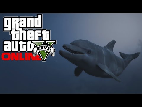 *NEW**NEW* GTA 5 - "PLAY AS A DOLPHIN" Easter Egg Tutorial Guide Peyote Locations (GTA V Next Gen) - *NEW**NEW* GTA 5 - "PLAY AS A DOLPHIN" Easter Egg Tutorial Guide Peyote Locations (GTA V Next Gen)