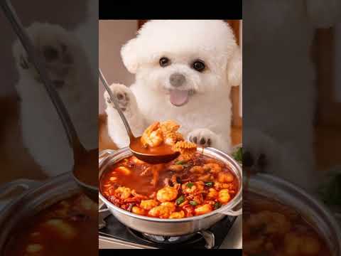 【ASMR】Spicy Nak-Gop-Sae Mukbang 🐙🥩🍤 | ナッコプセのモッパン #cute #puppy #pets 납곱새