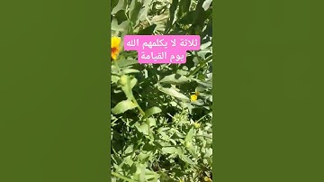 ثلاثة لا يكلمهم الله يوم القيامة#اذكار_المساء #دعاء_الرزق #اذكار_الصباح #أذكارالنوم #ترند #دعاء