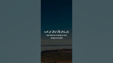 سورة محمد: القارئ سعد الغامدي