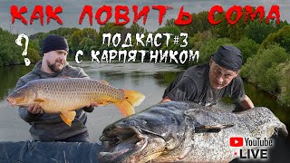🎙️ Подкаст #3: Рыбалка на сома! Виталий Дальке о снастях, методах ловли сома и стратегии. 🎣