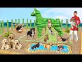 बाँस कुत्ता घर Bamboo Dog House Abandoned Puppies Moral Stories Hindi Kahani New Funny Comedy Video
