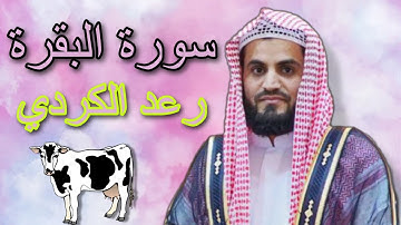 أداء خاشع لما تيسر من سورة البقرة ليلة 3 رمضان 1440 القارئ رعد الكردي sheikh raad alkurdi1080P HD