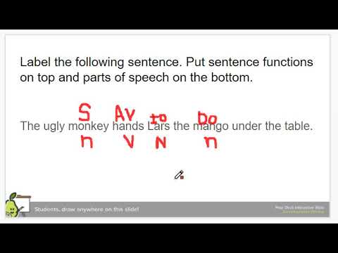 Functional Analysis: The Ugly Monkey