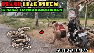 Prank Ular Piton Paling Laknat || Super Lucu Paling Ngakak 🤣🤣 || Funniest Snake Prank