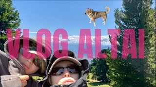 ВЛОГ: Алтай|Усть-Кокса|гора Белуха🏔️|смотреть онлайн ↖️