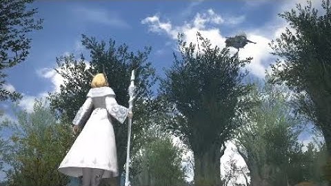 FFXIV Gridania Msq Playthough Pt 28: Lv15 - The Gridanian Envoy