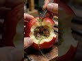 A fairy village hidden inside an apple 🍎✨ | Micro Universe (Ep. 13)