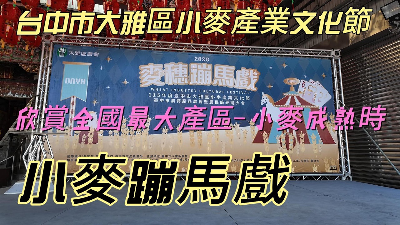 【台灣旅遊】115年台中大雅小麥產業文化節 搖曳生姿金黃麥穗成熟了