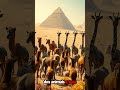 o livro secreto de thoth