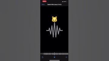 Lil Uzi Vert- Beefin With Jesus (Cover)