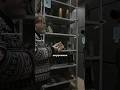 Корабельный червь. Георгий Виноградов. #наука #science #shorts