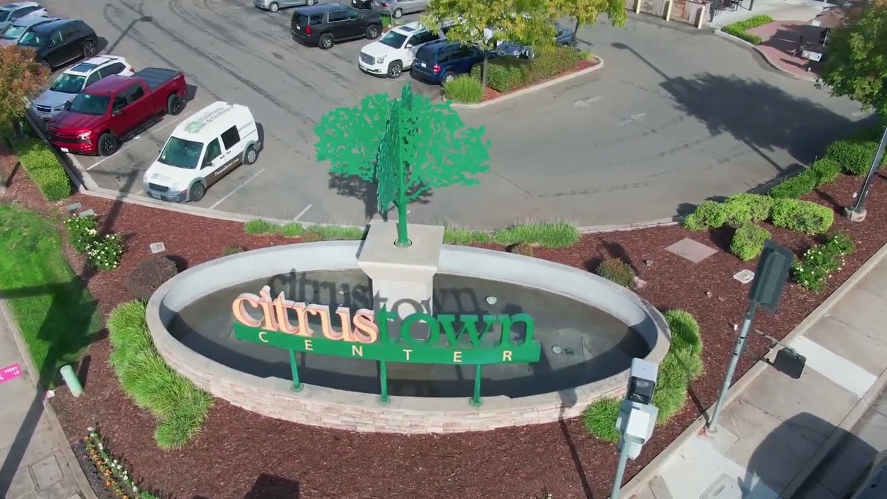 Ash Feeney Testimonial