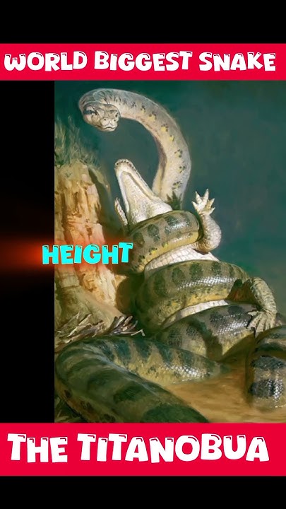 Titanoboa is larger than anaconda 😱|The world's biggest and largest