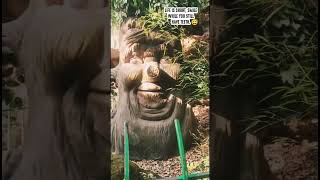 eco cave park/talking tree/mujhe koi dukhi nahi kar sakta osho #shorts #uttarakhand #osho #viral