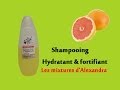 Shampooing hydratant  fortifiant recette aroma zone