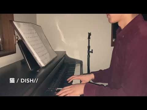 猫 / DISH// 歌ってみた。