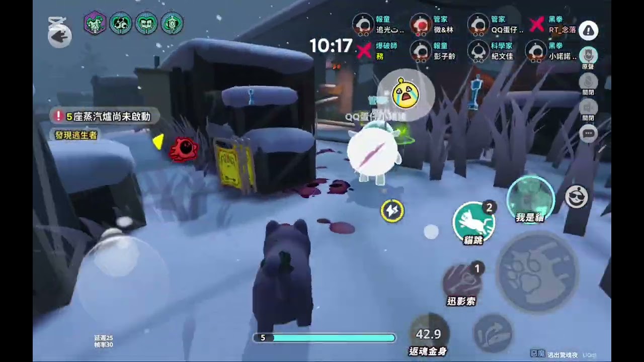 享受玩貓女的日子