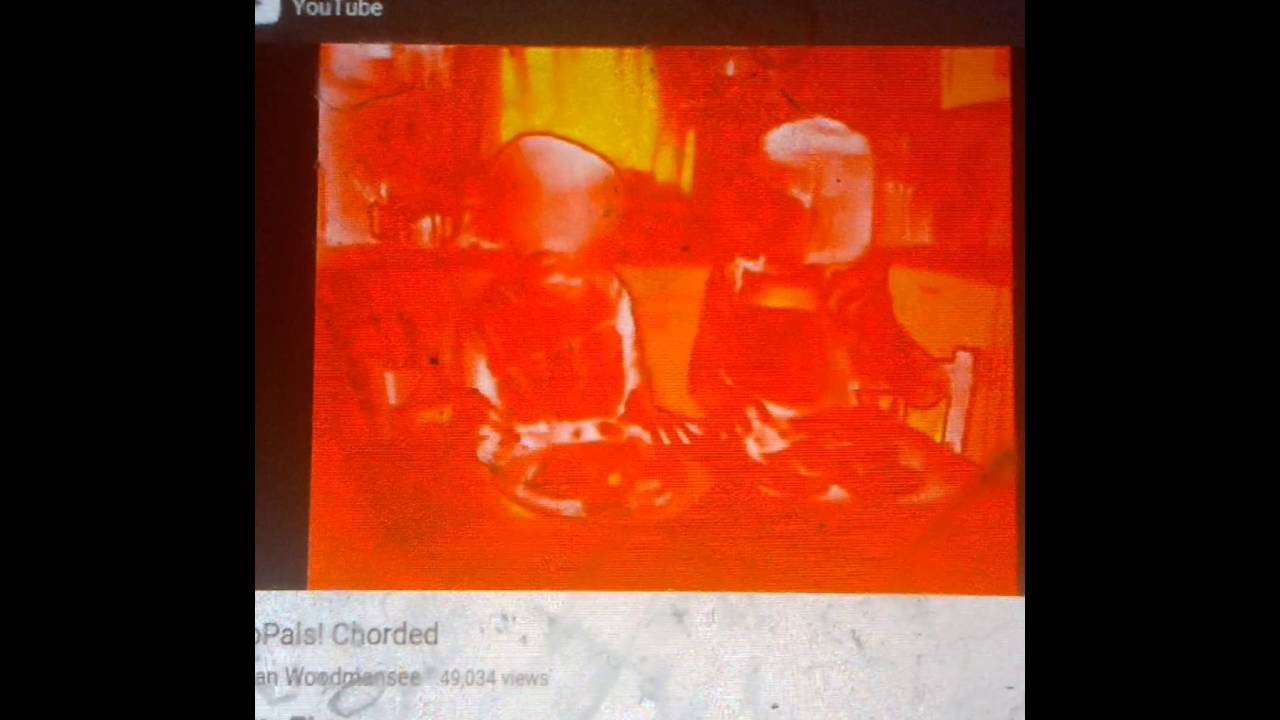 ZooPals In Joey's Toy Box Major YouTube