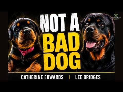 NOT A BAD DOG: Why So Many Modern Dogs Are Struggling