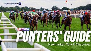 Newmarket, York & Chepstow Tips! BEST Bets, NAPs & Weekend Winners