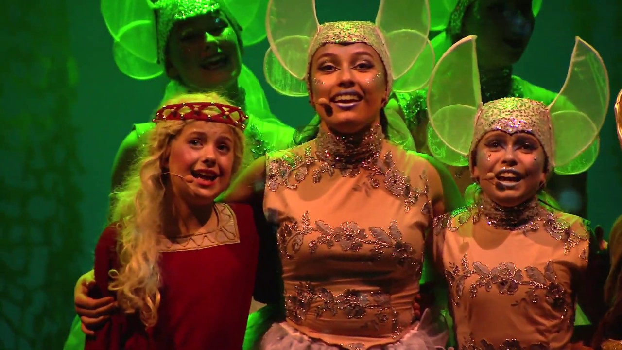 VIDEOOPTAGELSE AF EVENTYRTEATRETS MUSICAL "SKOVENS DRONNING"