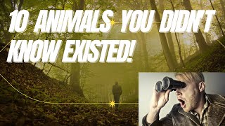 Celebrity 10 Animals You Didn't Know Existed Net Worth