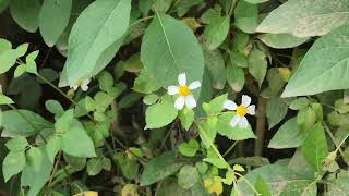 Download Lagu 30 Januari 2026 MP3