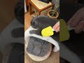 The Ultimate Deshedding Tool! 🛠️✨ #shorts #pets