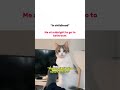 Relatable hai naa?? #funny #memes #catmemes #shorts #divyamwriter