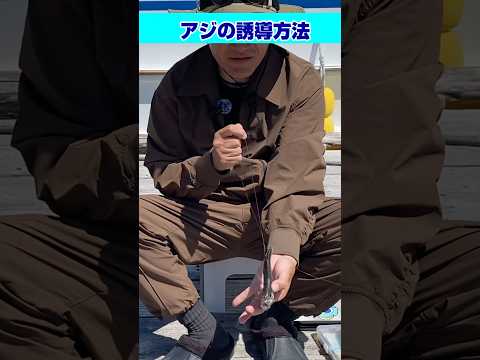 アオリイカヤエン釣り オトリアジの誘導方法 アジの泳がせ方#shorts