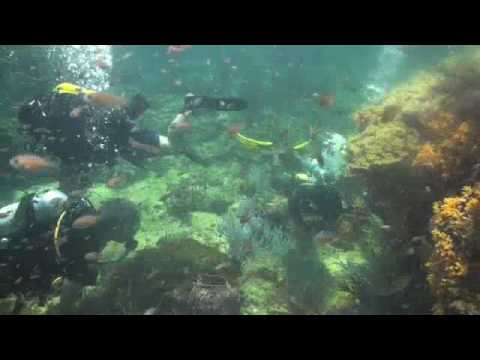 Chris Loh, a Rebreather & Friends diving in Kota K...