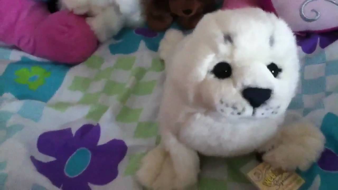 webkinz signature harp seal