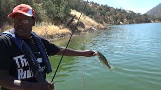 Pine Flat Dam Toilet Need A Boat July 30 2023 Part 1