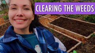 🌼 Getting Rid of Yet More Weeds 🌼 + Small Overview | Allotment Vlog Ep.9