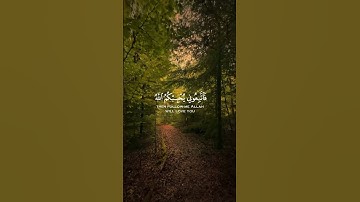 أكتب شيء تؤجر عليه 🤍 #اكسبلور #تلاوة_خاشعة #راحة_نفسية #طبيعة